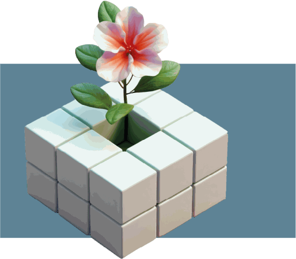 Flor a nascer de um cubo: o prop�sito e os valores da DIGIK